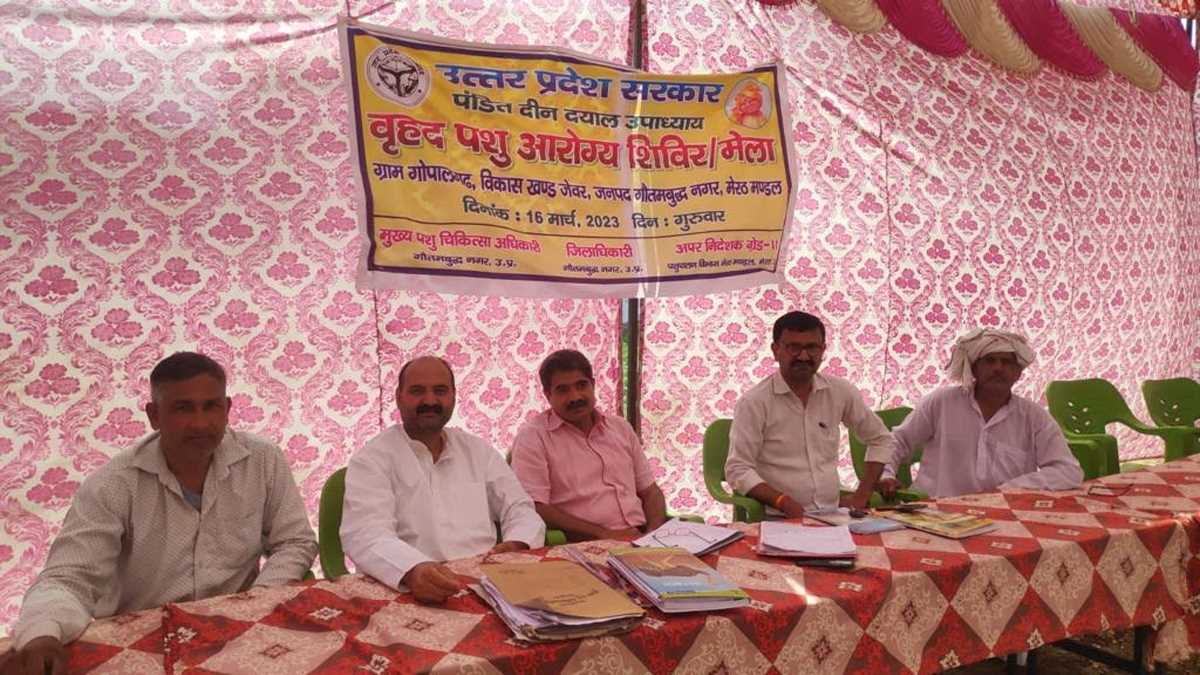 गोपालगढ में वृहद पशु आरोग्य शिविर का आयोजन